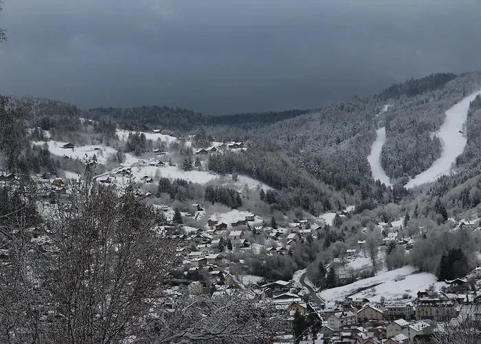 Apartement Sur Les Hauteurs De Gerardmer Avec Une Superbe Vue
