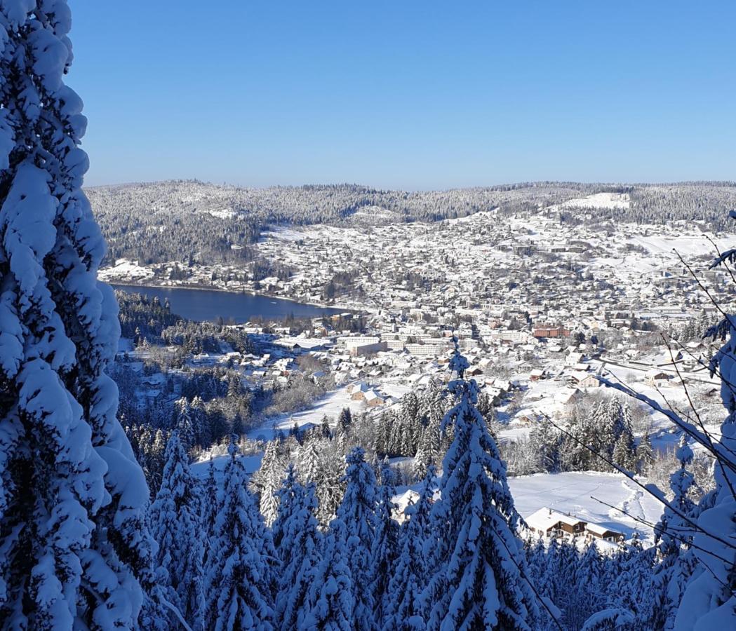 Apartment Sur Les Hauteurs De Avec Superbe Vue Gerardmer